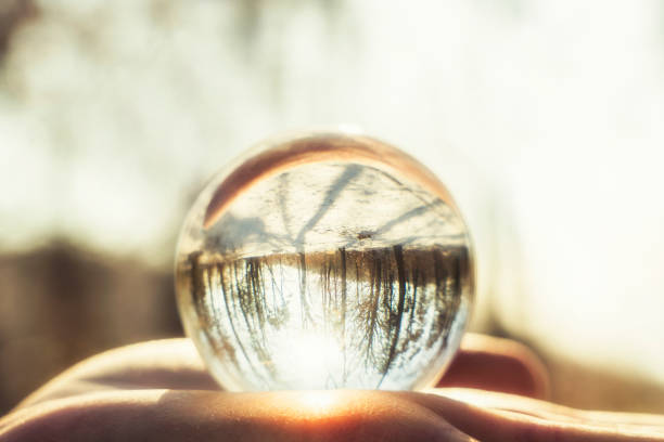 istock Trees against blurred background in Crystal ball 1097098298