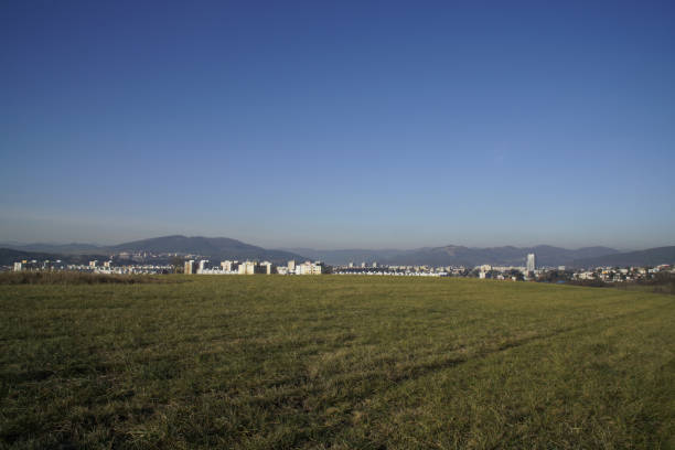 istock Green meadow during sunny and cloudy afternoon. 1097099532