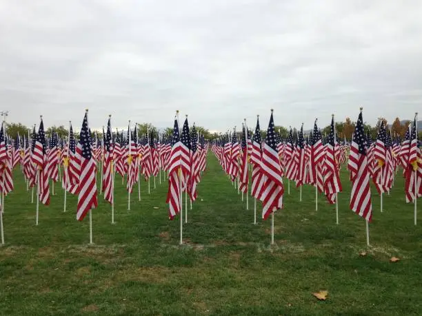 American Flags on Display at event celebrating veterans day.