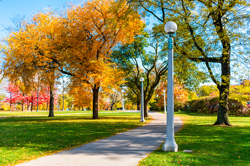 A walkway with light posts and colorful trees during autumn in Lincoln Park Chicago