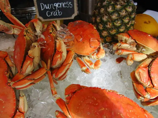 A display of a few orange crabs on ice with a small sign identifying them as Dungeness crab with a pineapple and lemon on the side.