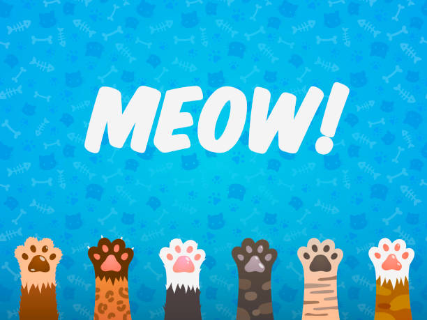 Cat paw flat background. Cats cartoon pet paws, print kitten texture, pets shelter vector poster Cat paw flat background. Cats cartoon pet paws, print kitten texture, pets shelter poster cute kitten wallpaper pictures stock illustrations