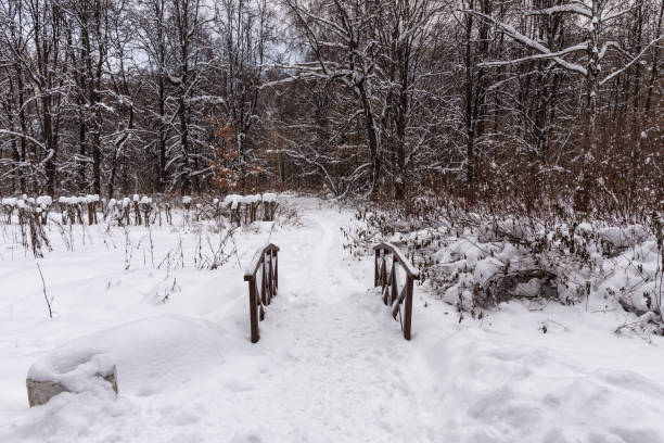 bridge over the stream, covered with snow, in the winter park