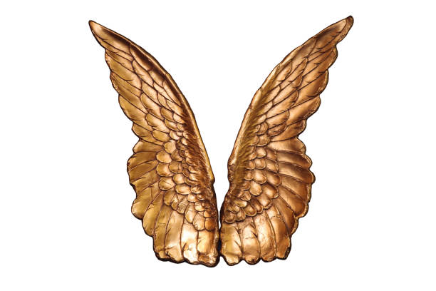istock Golden wings on white background 1097156948