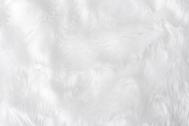 istock Grey Fabric cotton cloth texture with blank soft material space for text and idea design. Clean white pleat woven concept insert detail image, cover retro plain used for new decorative background 1097159554