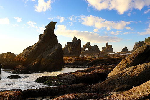 Shi Shi Beach at Olympic National Park, Washington