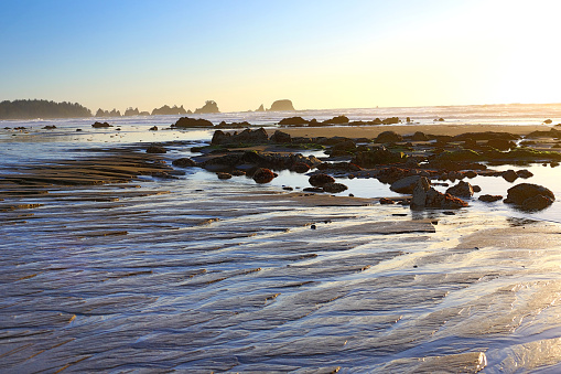 Shi Shi Beach at Olympic National Park, Washington