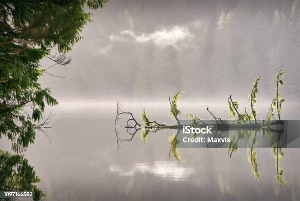 Sasamat Lake British Columbia Stock Photo - Download Image Now - Beach, Beauty In Nature, Blue