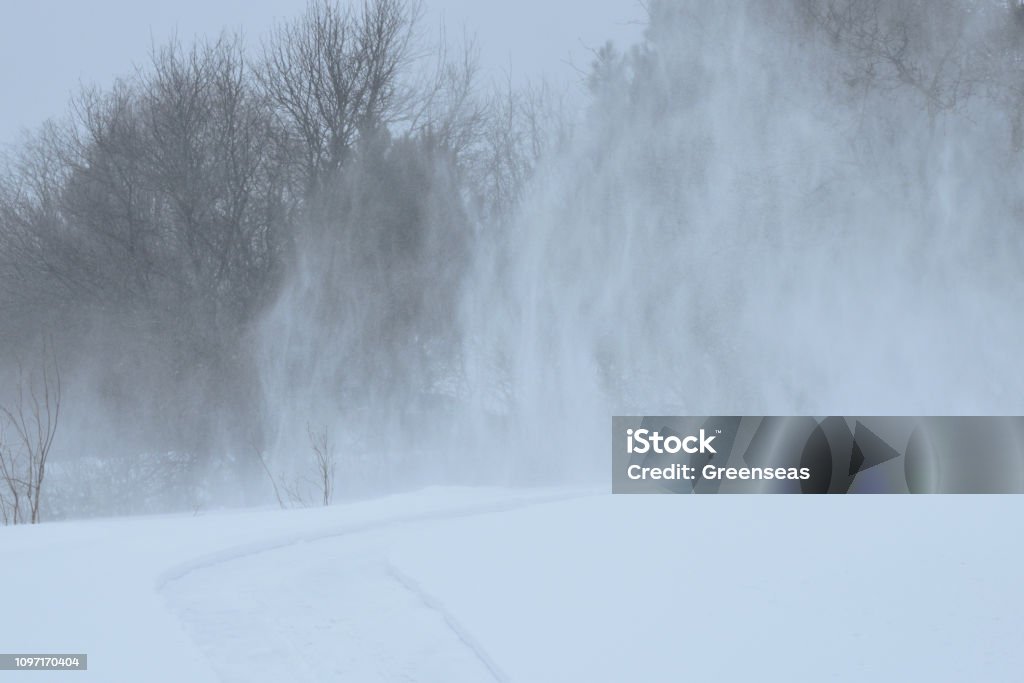 January Winter Blizzard New Brunswick Canada Wind Stock Photo