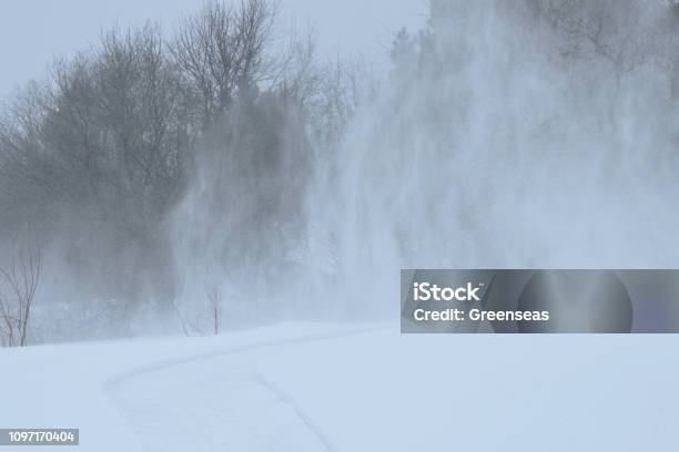 January Winter Blizzard New Brunswick Canada Stock Photo - Download Image Now - Wind, Blizzard, Snow