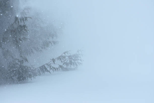 January Winter Blizzard New Brunswick Canada
