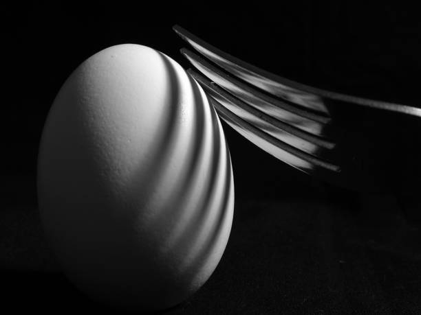 Fork and Egg stock photo