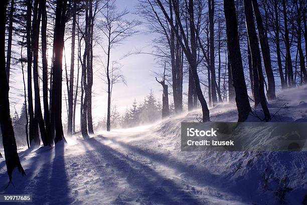 Floresta De Inverno Cena - Fotografias de stock e mais imagens de Montanha - Montanha, Nevão, Ao Ar Livre