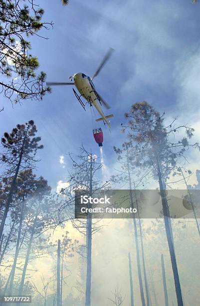 Cerca In Elicottero Versare Acqua Sul Fuoco Foresta - Fotografie stock e altre immagini di Elicottero