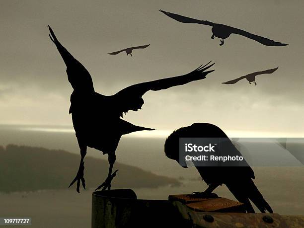 Fantástico Crows - Fotografias de stock e mais imagens de Corvo - Pássaro - Corvo - Pássaro, Mar, Animal