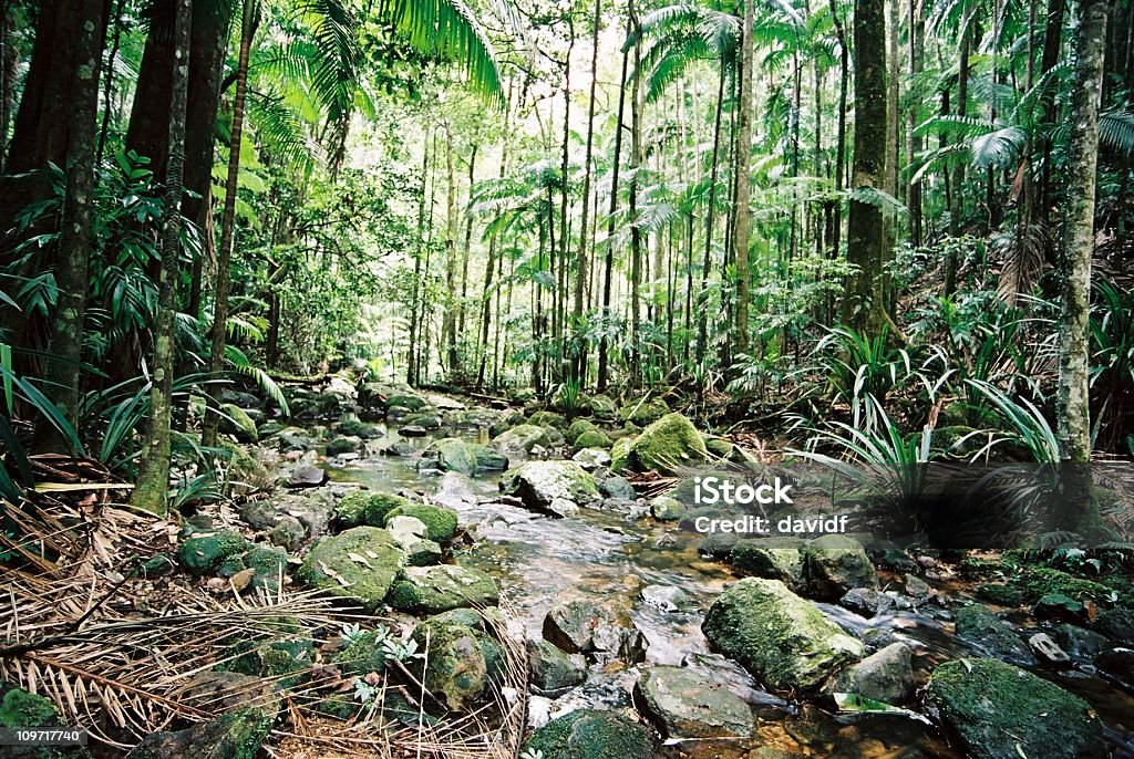 Blasen Stream - Lizenzfrei Prähistorisches Zeitalter Stock-Foto