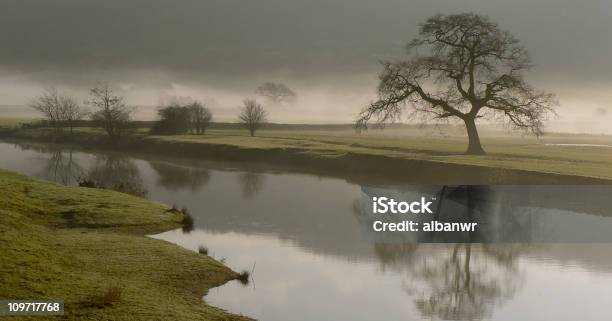 Photo libre de droit de Journée Nuageuse Et Dryslwyn Oak Sur Les Berges De La Rivière Towy banque d'images et plus d'images libres de droit de Saule