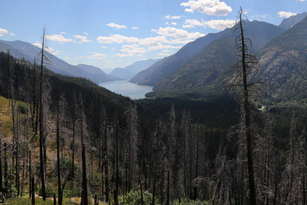 istock Burned Forests in North Cascades 1097177978