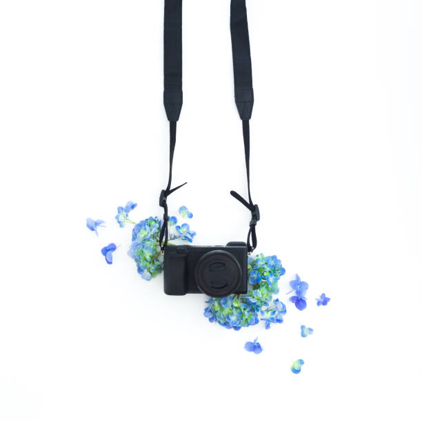 istock Concept with photo camera and hydrangea flowers on white background. Flat lay, top view. 1097178278
