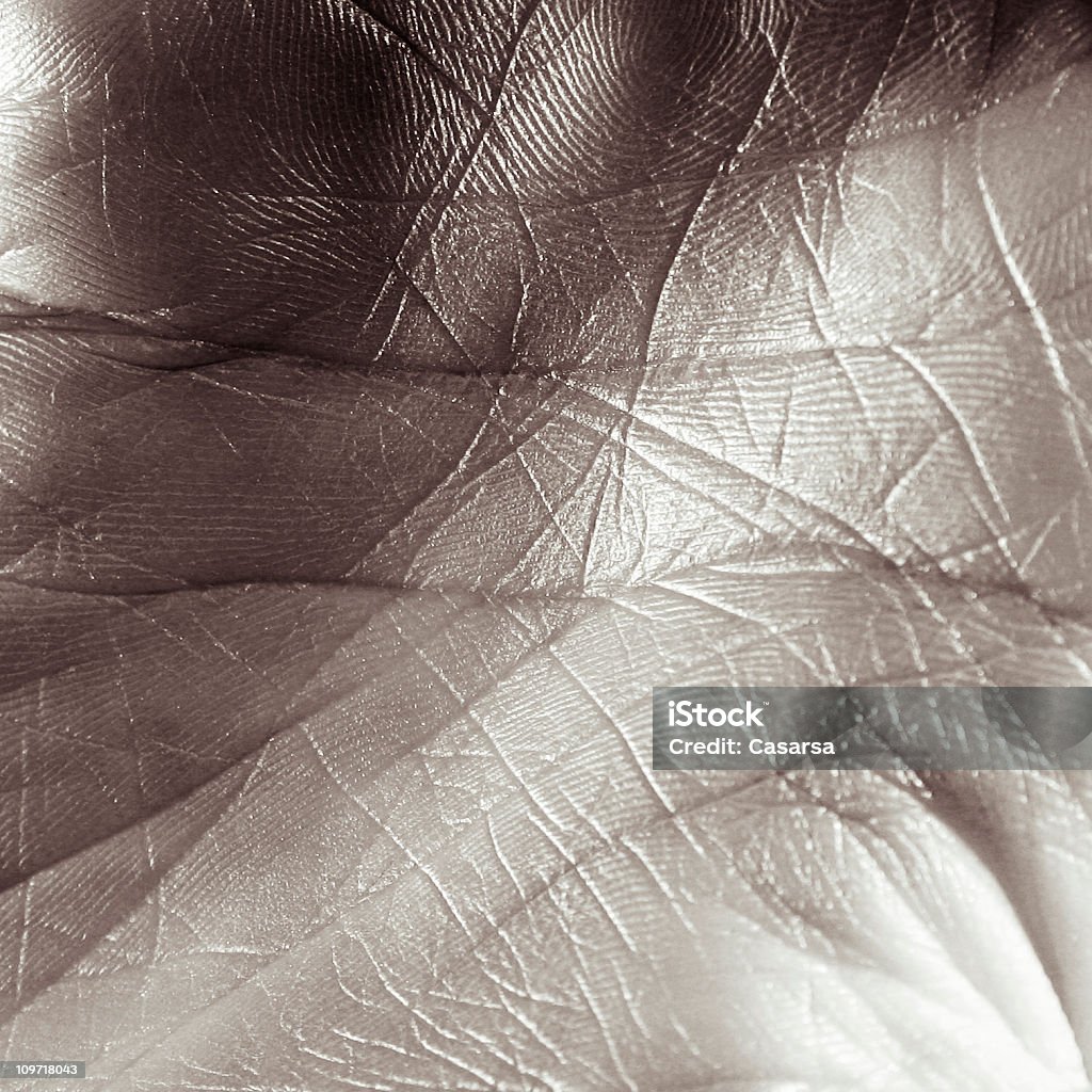 Close-up of Person's Palm, Toned  Palm of Hand Stock Photo