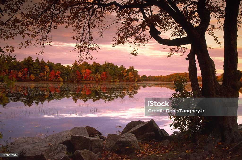秋の木の夕暮れの湖の裏地 - マサチューセッツ州のロイヤリティフリーストックフォト