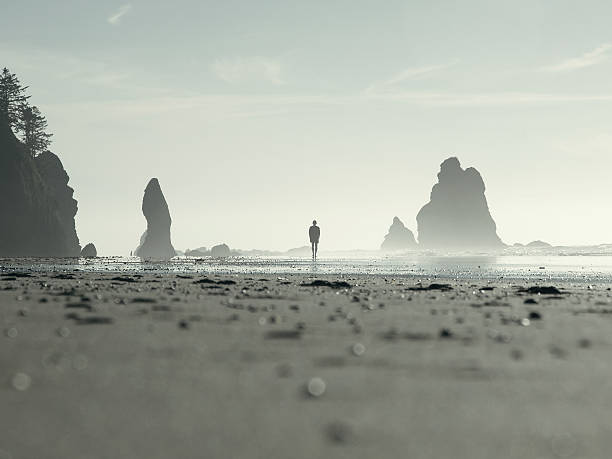 Silhouette of Man Walking on Beach stock photo