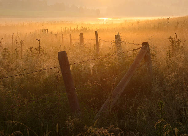 istock bavarian sunrise - meady in bavaria -germany 109718171