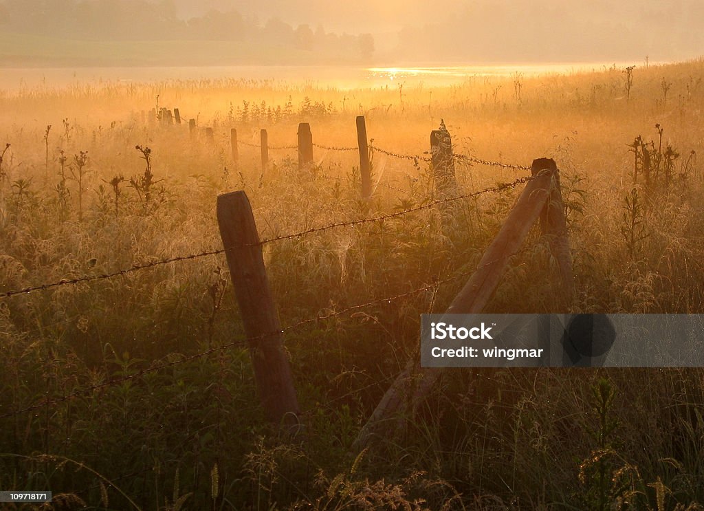 bavarian sunrise - meady in bavaria -germany  Miracle Stock Photo
