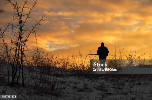 Photo libre de droit de Chasse Dhiver Au Lever Du Soleil Hunter Se Déplaçant Avec Fusil De Chasse Et À La Recherche De Proies banque d'images et plus d'images libres de droit de Type de chasse