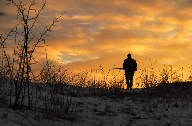 zimowe polowanie o wschodzie słońca. hunter porusza się ze strzelbą i szuka zdobyczy. - people shotgun weapon horizontal zdjęcia i obrazy z banku zdjęć