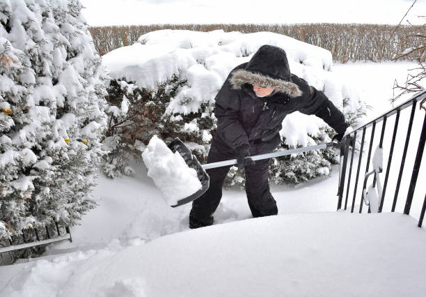 образ жизни, "снег, после бури" - snow digging horizontal people стоковые фото и изображения