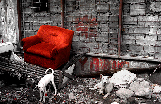 Old red chair surrounded by weed in abandoned factory