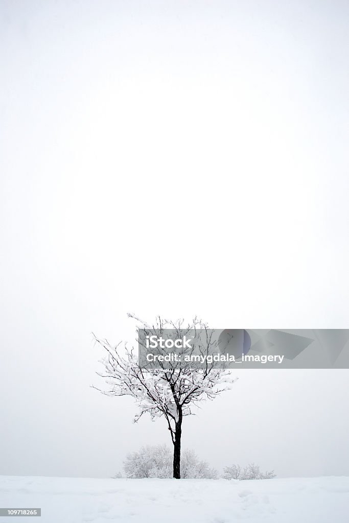 snow Baum winter Landschaft abstrakte - Lizenzfrei Ast - Pflanzenbestandteil Stock-Foto