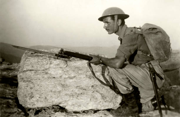 soldado armados - bayonet imagens e fotografias de stock