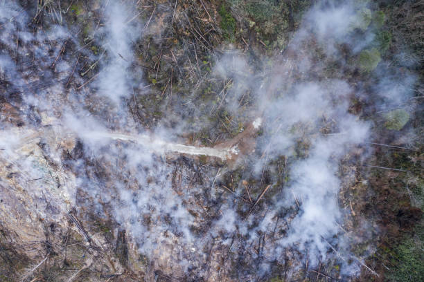 istock Smoke is standing from the tree after burning. 1097183520
