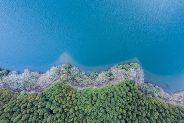 istock Beautiful view of forest and lake 1097184238