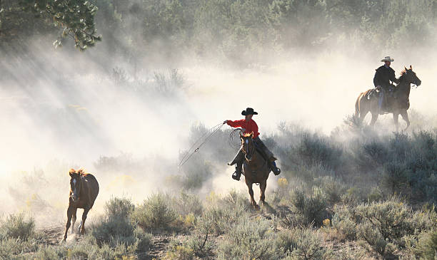 istock Horses Cowboys and Wranglers at work 109718474