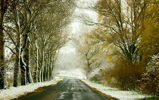 Beautiful country road in snow in winter.\n\n[color=#0][/color]Visit My Portfolio and have a look at my underpriced pictures :wink::\n[color=#3333ff][/color][url]http://www.istockphoto.com/file_search.php?action=file&userID=1313887][/url]\n\n[color=#0][/color]You can find shots like these\n[url=file_closeup.php?id=2991180][img]file_thumbview_approve.php?size=1&id=2991180[/img][/url] [url=file_closeup.php?id=4419059][img]file_thumbview_approve.php?size=1&id=4419059[/img][/url] [url=file_closeup.php?id=3963218][img]file_thumbview_approve.php?size=1&id=3963218[/img][/url] [url=file_closeup.php?id=4102410][img]file_thumbview_approve.php?size=1&id=4102410[/img][/url] [url=file_closeup.php?id=4409436][img]file_thumbview_approve.php?size=1&id=4409436[/img][/url] [url=file_closeup.php?id=4243957][img]file_thumbview_approve.php?size=1&id=4243957[/img][/url] [url=file_closeup.php?id=3604012][img]file_thumbview_approve.php?size=1&id=3604012[/img][/url] [url=file_closeup.php?id=2949741][img]file_thumbview_approve.php?size=1&id=2949741[/img][/url] [url=file_closeup.php?id=4219752][img]file_thumbview_approve.php?size=1&id=4219752[/img][/url]\n