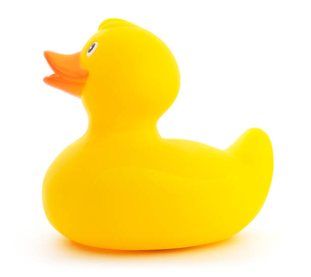 istock Isolated Yellow Plastic Rubber Ducky Toy 1097186006
