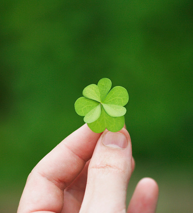 Person holding a four leaf clover. 
