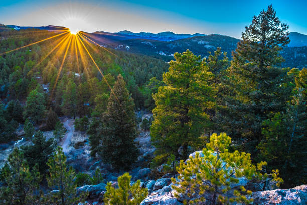 常緑樹、コロラド州の冬に色鮮やかな夕焼け - denver colorado colorado winter snow ストックフォトと画像