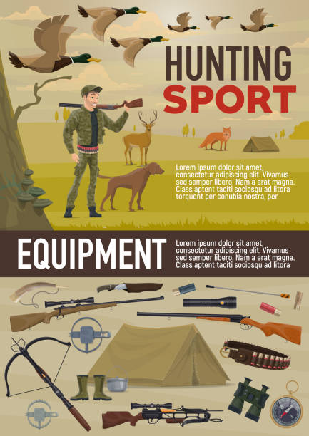 ilustraciones, imágenes clip art, dibujos animados e iconos de stock de animales y equipo de deporte de la caza - bullet belt ammunition cartridge