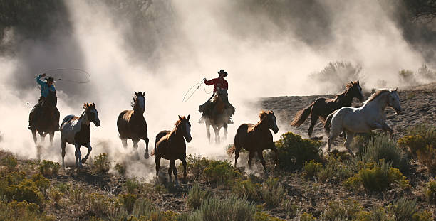 istock Cowboys and wranglers series 3 109718854