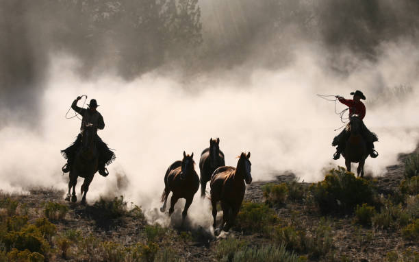 istock Cowboys and wranglers series 3 109718860