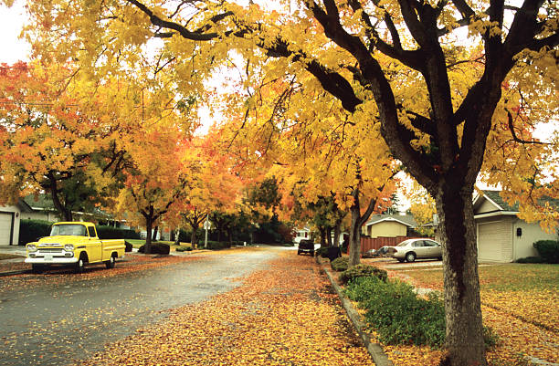 wohngegend - san francisco bay area community residential district california stock-fotos und bilder