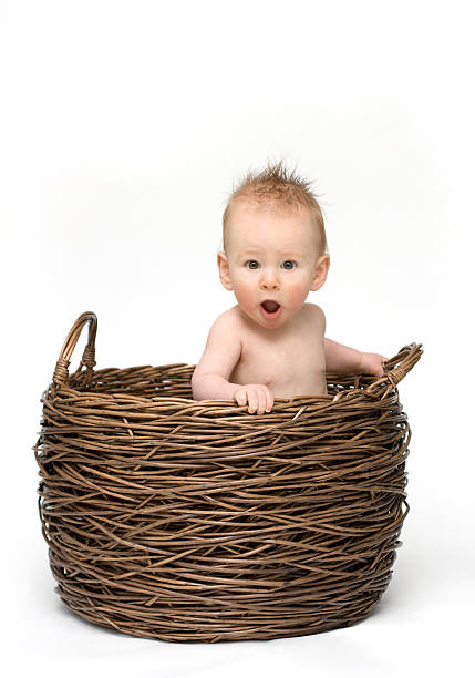 istock Surprised baby in basket 109719005