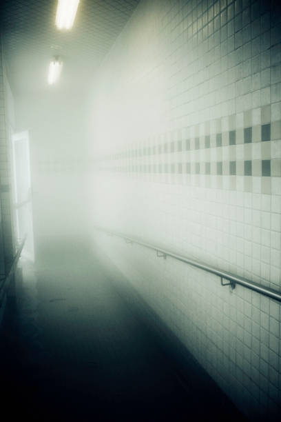 Budapest, Hungary - December 19, 2024: Empty railway platform stretches into dense fog, with benches lined under a roof and signals faintly visible in the distance.