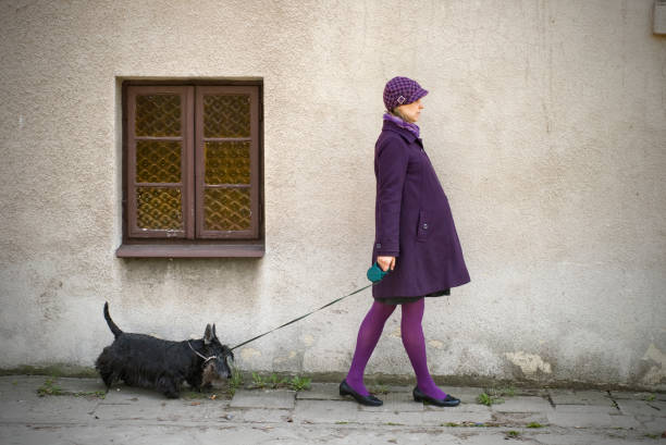 istock Purple, Pregnant, Pet 109719071