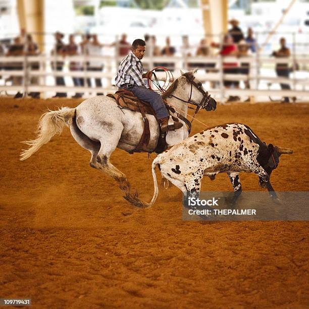 Rodeo Team Roping Stock Photo - Download Image Now - Competition, Cow, Horse