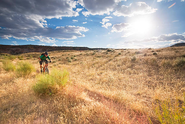 mountain biking!  fruita colorado stock pictures, royalty-free photos & images